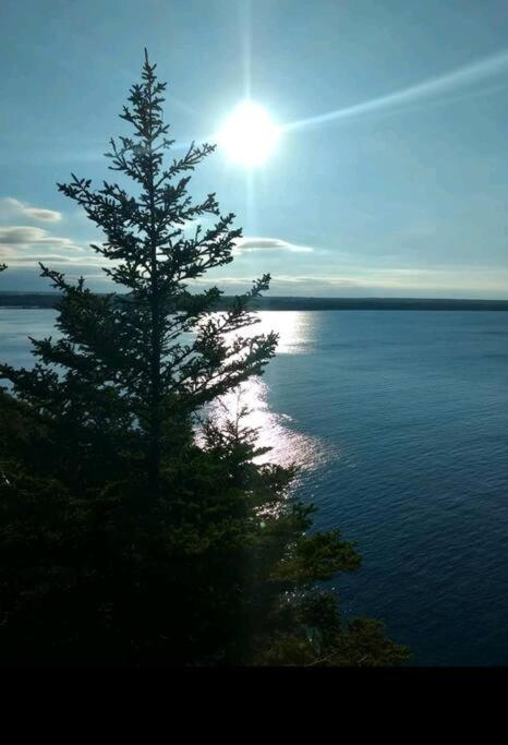 Family Friendly Cottage ☆Walking Distance To Beach Lions Head Exterior photo