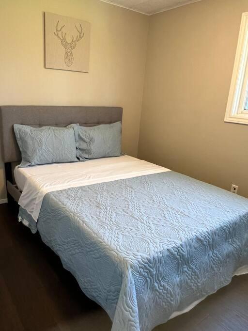 Family Friendly Cottage ☆Walking Distance To Beach Lions Head Exterior photo